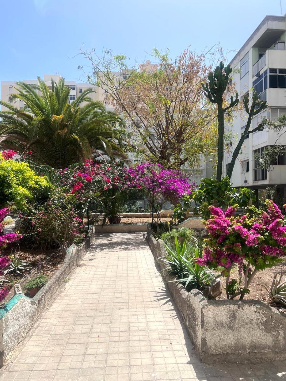 Relax Apartamento 7 ラスパルマス・デ・グランカナリア エクステリア 写真